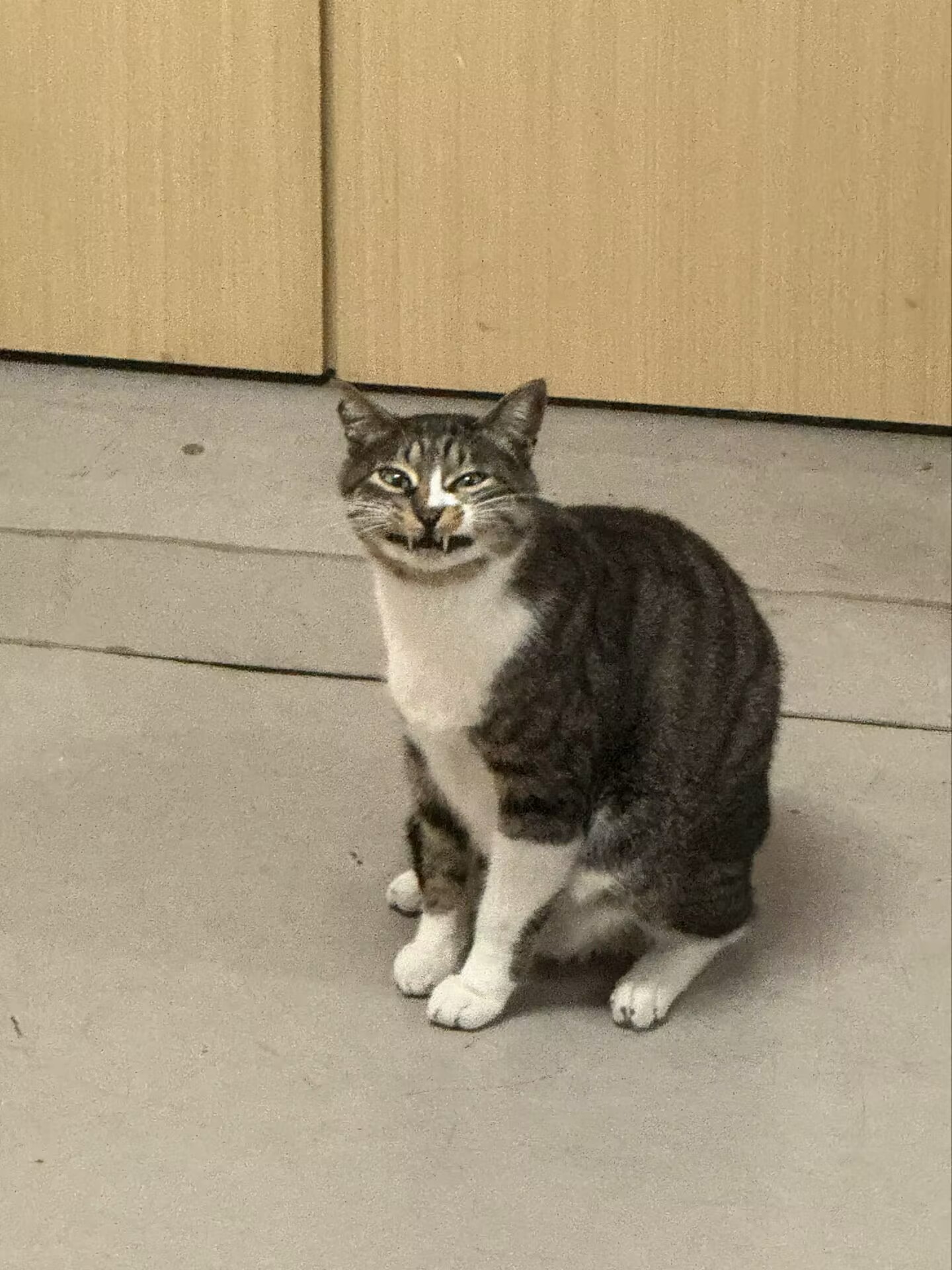铁锤