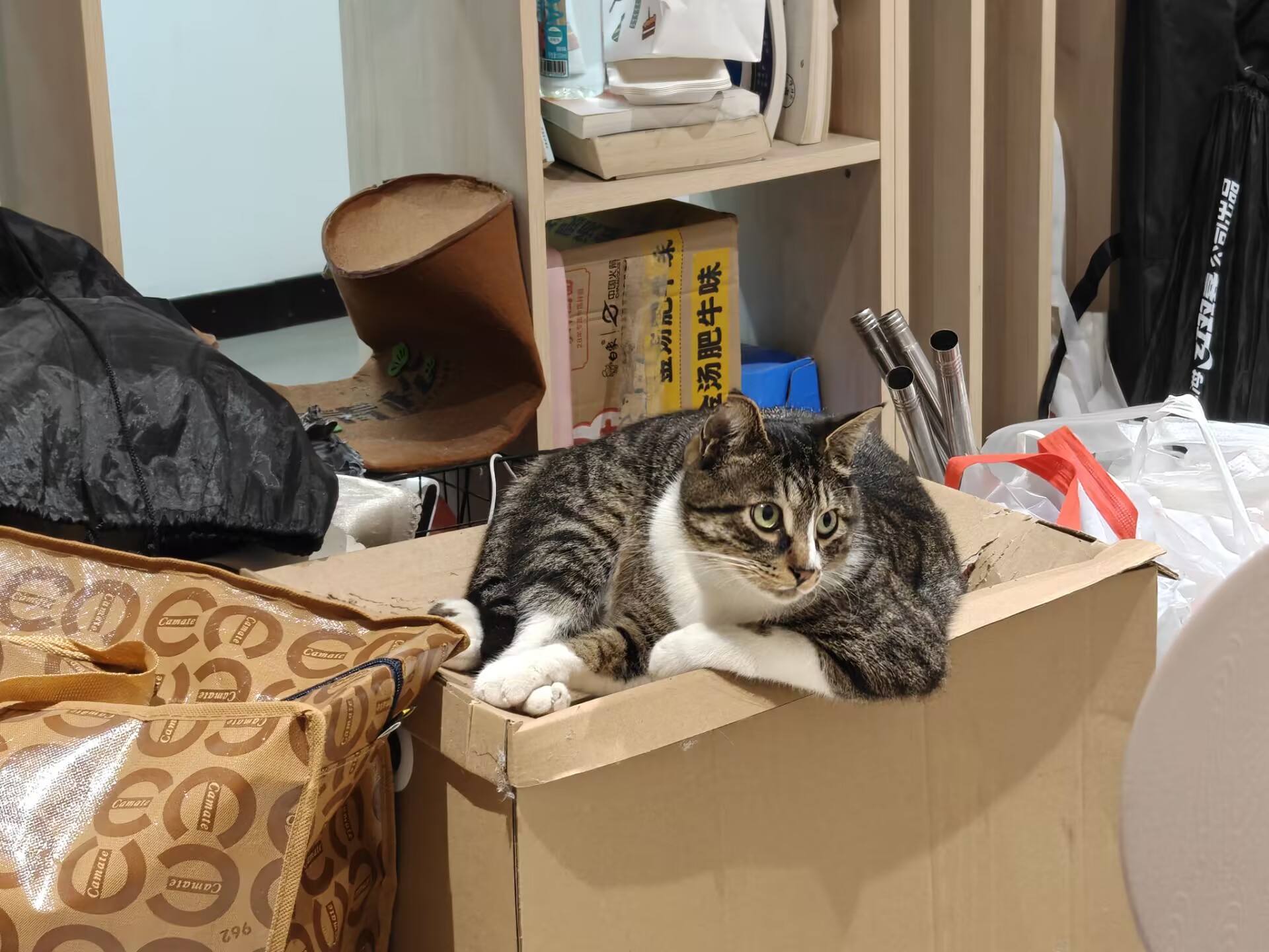 铁锤