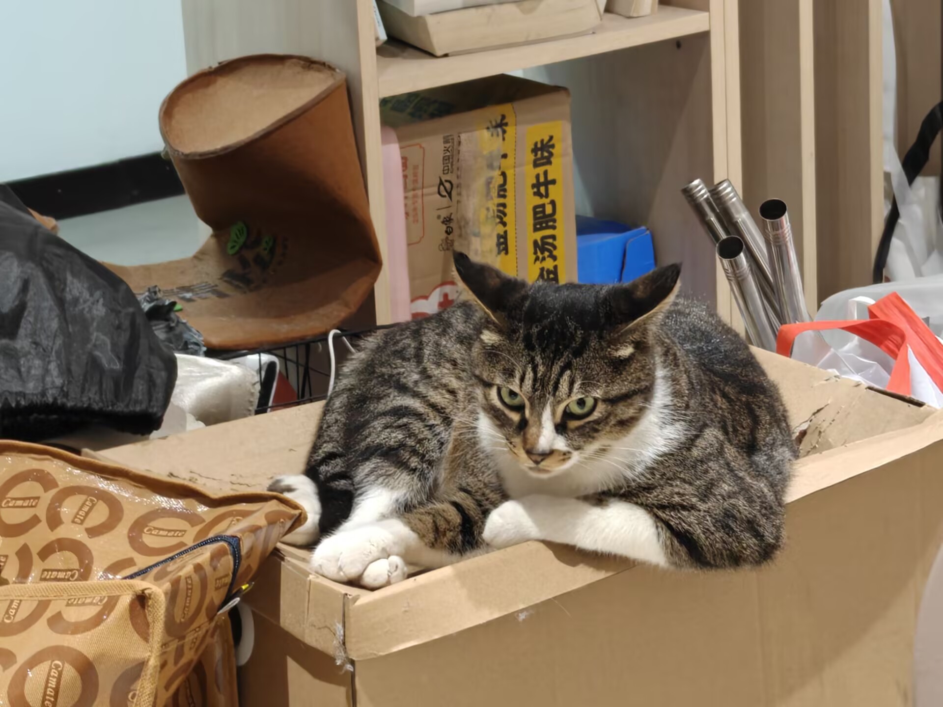 铁锤
