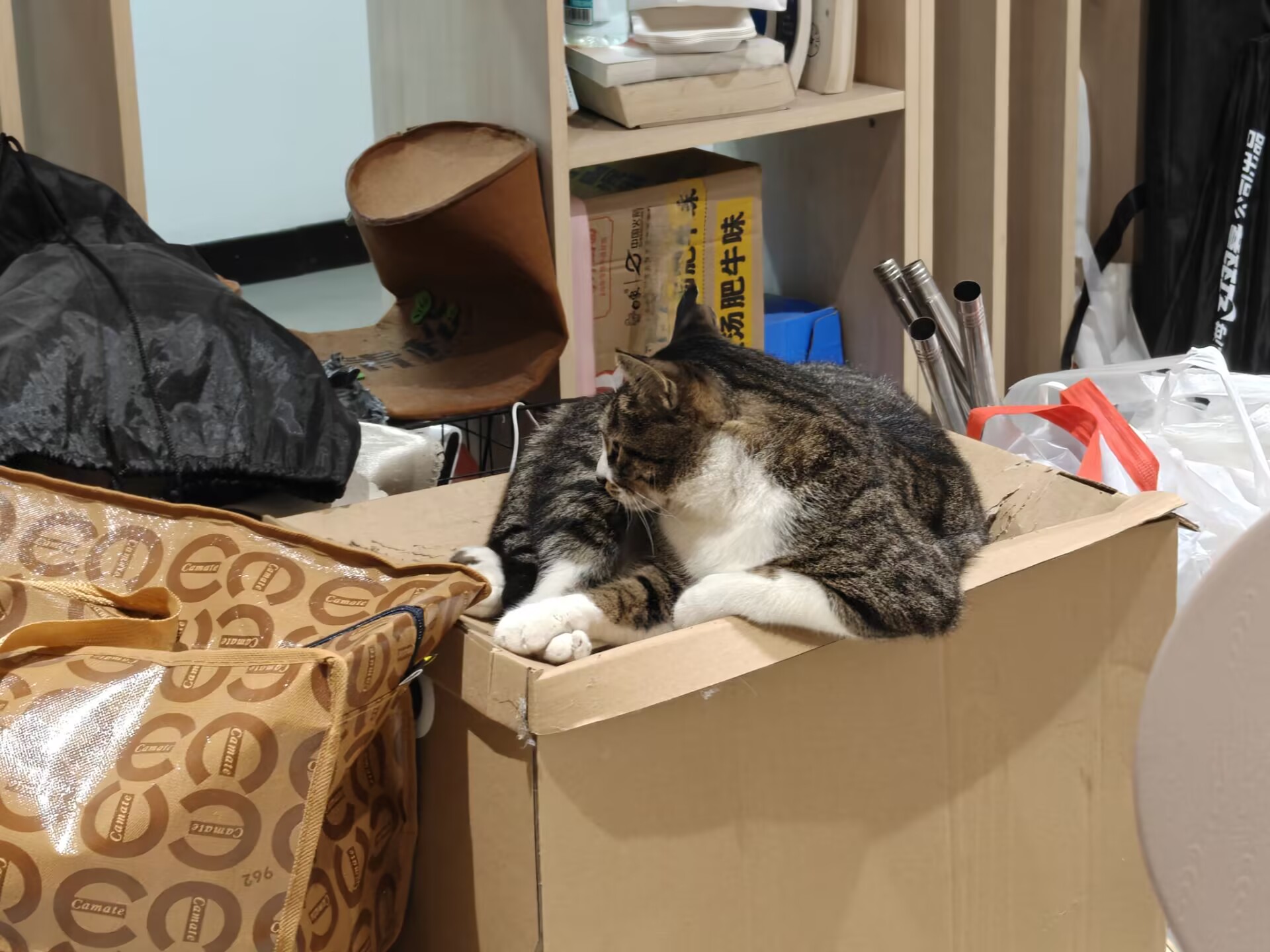 铁锤